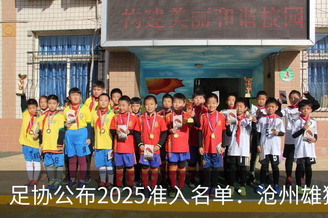 足协公布2025准入名单：沧州雄狮、广州队无缘